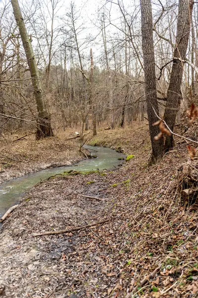 Donmuş kış deresi. Ormanda alışılmadık derecede soğuk ve kar yağışı olmayan bir günün manzarası.