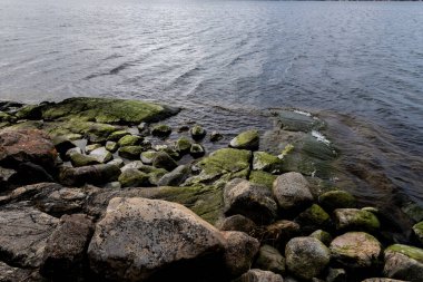 Suyun içinde yeşil deniz yosunlarıyla kaplı taşlar. Yumuşak şeffaf yansıtıcı su.