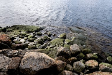 Suyun içinde yeşil deniz yosunlarıyla kaplı taşlar. Yumuşak şeffaf yansıtıcı su.