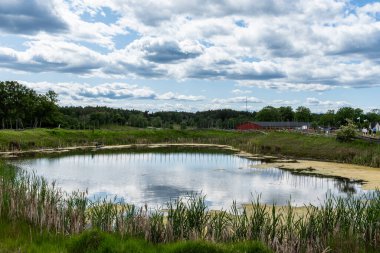 Su yüzeyinde çimen ve sazlıklarla çevrili küçük bir su birikintisi manzarası. Bir tekne kıyıya yanaşıyor arka planda, tarlaları ve ormanı parçalı bulutlu bir yaz gökyüzünün altında.