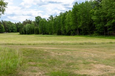 Arka planda ağaçlar ve ormanlar olan yeşil bir çayırın manzarası. Önplanda çimenler, yukarıda parçalı bulutlu yaz gökyüzü.