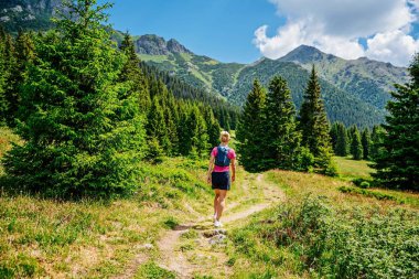 Sırt çantalı güzel sarışın kadın dağlarda ormanda yürüyor. Pembe tişört ve şort giymişti. 