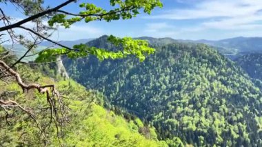Sokolica 'dan Dunajec Nehri ve Tatra Dağları' nın manzarası. Sarmal Dunajec Nehri ve görkemli Tatra Dağları 'nın sergilendiği Sokolica' dan çarpıcı panoramik manzarayı deneyin.. 