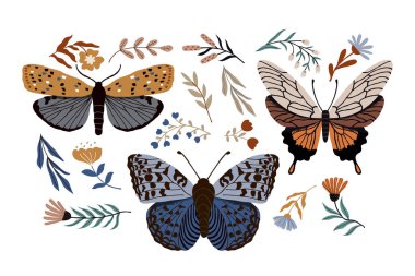 Kelebekli ve çiçekli botanik elementler. Kelebeklerle dolu bir taşıyıcı.