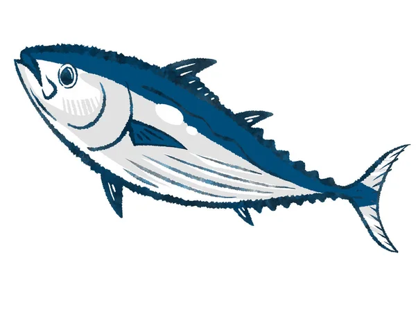Bonito Katsuo Skipjack Ton Balığı Beyaz Arka Planda Izole Edilmiş — Stok fotoğraf