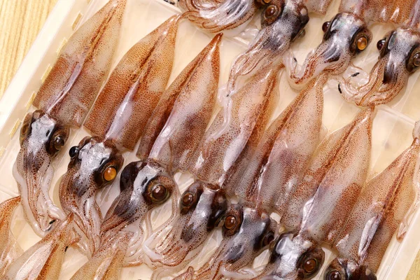 ปลาหม ฮอตาร สารสก ดจากอาหารญ — ภาพถ่ายสต็อก