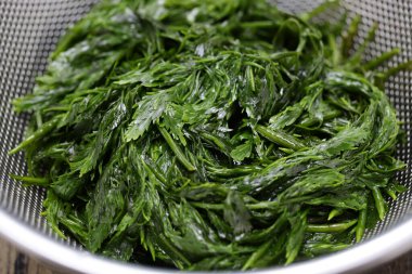 Japon lezzetli yosunu, haşlanmış Akamoku (Sargassum Horneri ) 