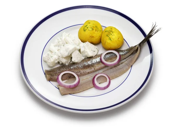 Pickled Young Herring Fillet Matjes Boiled Potato — Stock Photo, Image