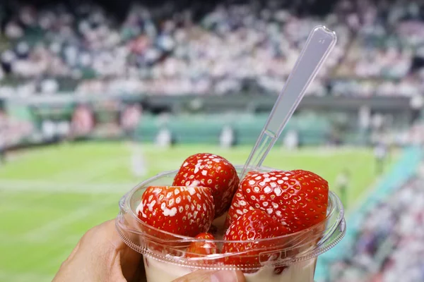 草莓和奶油 一小碗 英国夏季特色菜 免版税图库照片