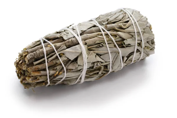 White Sage Smudge Stick Meditation Healing Spiritual Room Cleansing — Stock Photo, Image