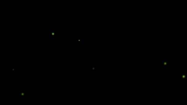 Fireflies Light Animation Black Background Loop Stock Footage