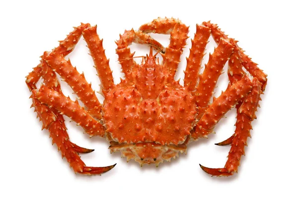 煮红了的王蟹在白色背景上被隔离了 图库照片