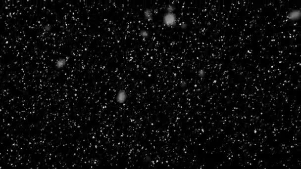 黒い背景の雪降るアニメーション シームレスなループ ロイヤリティフリーのストック動画