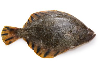 Matsukawagarei 'nin ön tarafı (barfin flounder), Japon lüks balığı