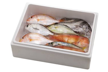 Japanese fresh fishes in the styrofoam box. clipart