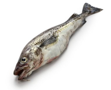 Alaska pollock beyaz arka planda izole