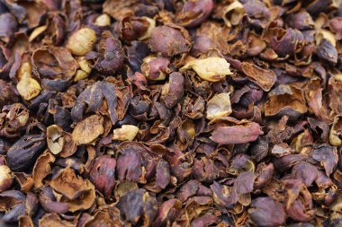 Cascara, kurutulmuş kahve, kiraz kabuğu, arka plan malzemesi.