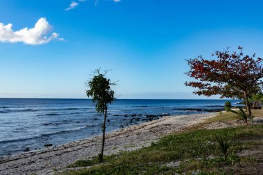 Kumsalda ağaçlar ve çimenler var.