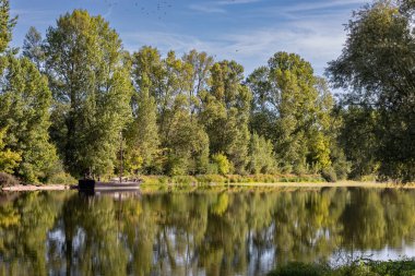 Tours 'daki Loire Nehri' nde yeşil ağaç yansımaları