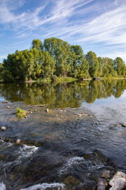 Tours 'daki Loire Nehri' nde yeşil ağaç yansımaları