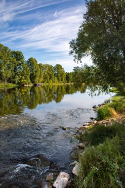 Tours 'daki Loire Nehri' nde yeşil ağaç yansımaları
