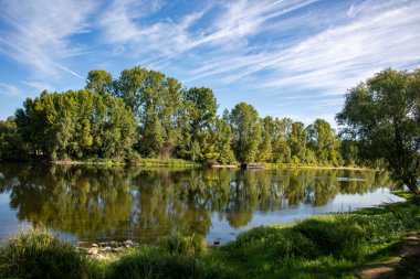 Tours 'daki Loire Nehri' nde yeşil ağaç yansımaları