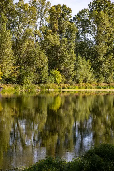 Tours 'daki Loire Nehri' nde yeşil ağaç yansımaları