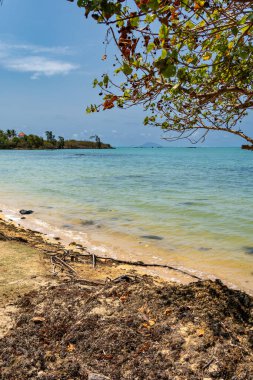 Güneşli bir günde mercan resifinin yanındaki kayalık plajda mavi gökyüzü ve açık bulutlu Kaptan Mauritius.