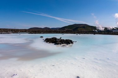 İzlanda 'daki Mavi Göl' ün süt mavisi suları siyah lav kayaları ve liken ile tezat oluşturur; barışçıl bir jeotermal kaplıca sahnesi. Reykjanes Yarımadası, İzlanda.