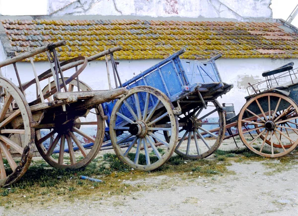 Chariots Bœufs Ancienne Dans Village Campagne Portugal — Photo