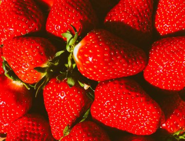 Kırmızı olgun çilek arka planı. Kapat, üst görünüm.