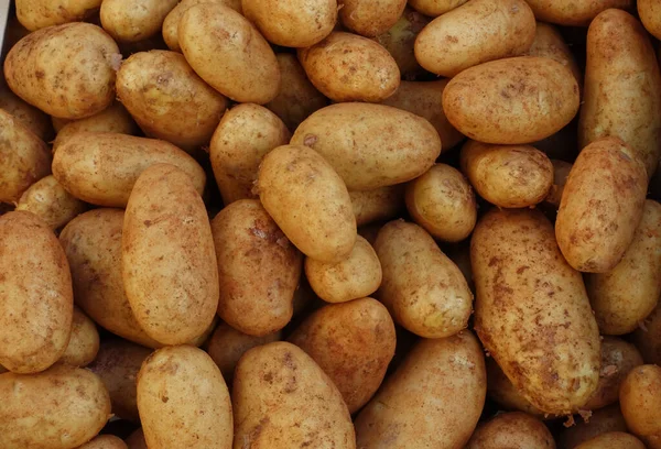 Potatoes for sale at vegetable market, close up. Boxes full of potatoes in shop. Fresh potato at the greengrocer\'s stall.