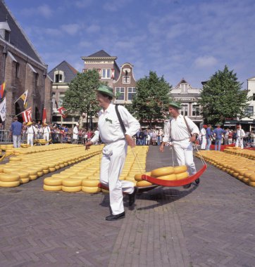 ALKMAAR, HOLLAND- 20 Mayıs 2016: Hollanda 'nın Alkmaar kentindeki peynir pazarında peynir taşıyıcıları. Kaasdragersgilde peynir taşıyıcıları loncasından ilk olarak 1619 yılında arşivlerde bahsedilmiştir. 1593 yılı, peynir markasının ilk yılı olarak kabul edilir.