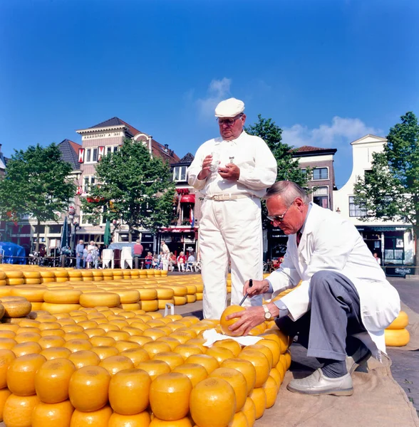 Alkmaar Holland Temmuz 2023 Peynir Müfettişleri Alkmaar Daki Peynir Pazarında — Stok fotoğraf