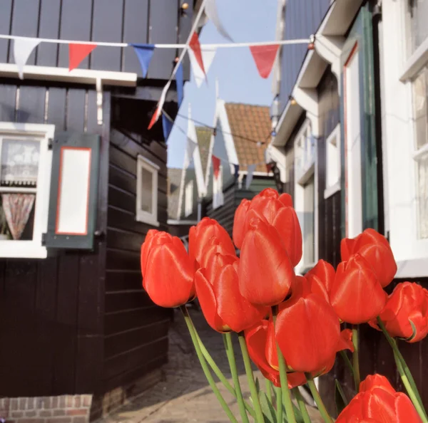 Vlaggetjesvolle Straat Koningsdag Met Voorgrond Rode Tulpen Het Historische Vissersdorp — Stockfoto