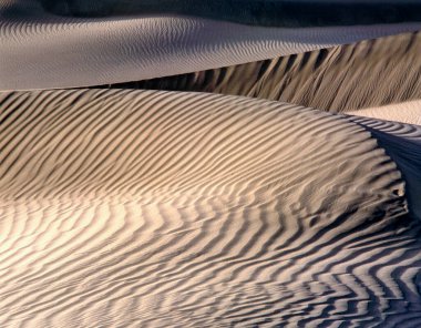 Mesquite Kumulları Kaliforniya 'daki Ölüm Vadisi Ulusal Parkı' nda.