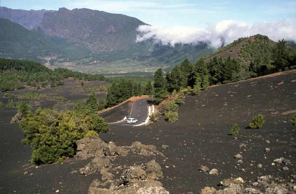 카나리아 스페인에서 화산에서 화려한 소나무 화산과 필드와 풍경을 자동차로 — 스톡 사진