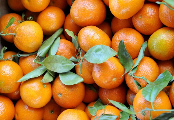 Fresh Mandarin Oranges Fruit Tangerines Leaves Background Stock Picture