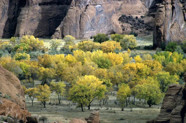 Індійське Літо Каньйоні Національний Пам Ятник Челлі Арізоні Навахо Сша Стокове Зображення
