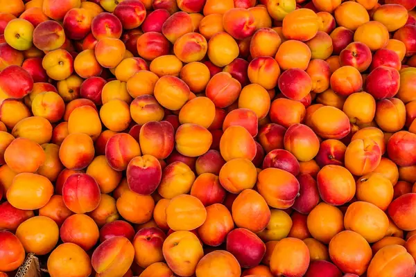 Frische Aprikosen Auf Einem Bauernmarkt Der Provence Frankreich lizenzfreie Stockbilder