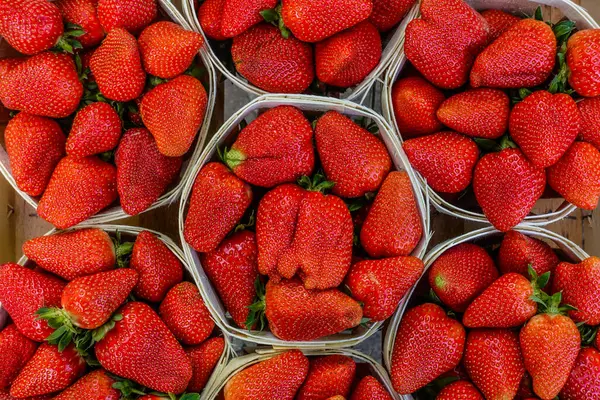 Fresas Frescas Mercado Agricultores Provenza Francia Europa Fotos de stock