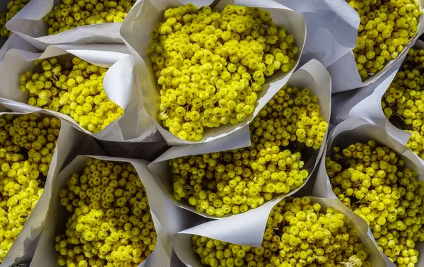 Mimosa Bouquet Auf Einem Bauernmarkt Der Provence Frankreich Europa Stockbild