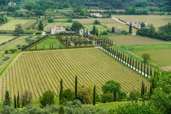 Panoramisch Uitzicht Luberon Vallei Met Wijngaarden Cipressen Zuid Frankrijk Stockfoto