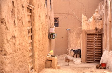 Eski El Hajjaryn kasabası, Wadi Doan, Hadramaut, Yemen