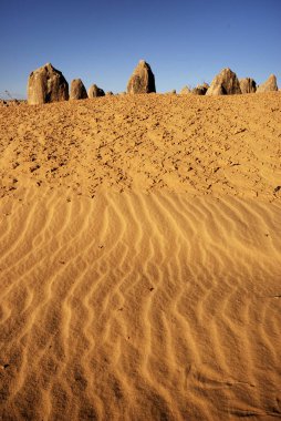 The weird Pinnacles Desert landscape, the pinnacles are ancient limestone formations in the Nambung National Park, Australia clipart