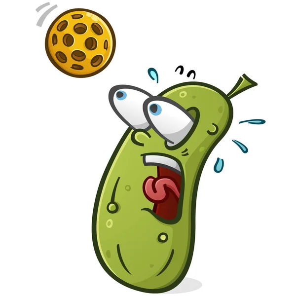 Pickle Cartoon Figur Kurz Davor Von Einem Verirrten Pickleball Getroffen — Stockvektor