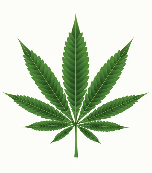 Yeşil Esrar, Marihuana, Ot, kenevir yaprağı
