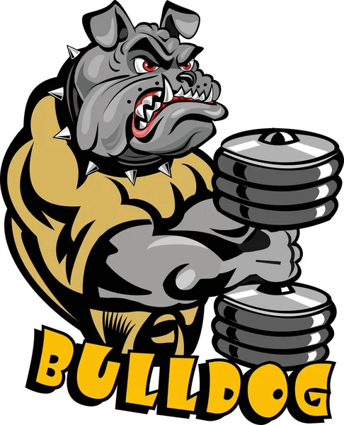 Bulldog Para Treinamento Peso Levantamento Peso Musculação — Vetor de Stock