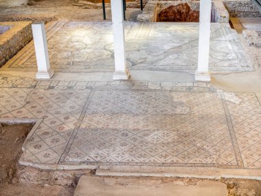 Mozaik, Alcala de Henares, Madrid, İspanya 'da yer alan Roma şehri Complutum' un arkeolojik sahasındaki en önemli kalıntılardan biri olan Hippolytus Evi 'ndeki bir dizi geometrik motiften oluşuyordu.