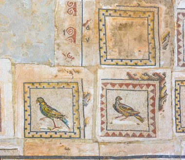 Roma 'nın önde gelen şehirleri olan İtalya' ya özel olarak tahsis edilen konaklardan biri olan Kuşlar Evi 'nin zeminindeki mozaik ayrıntıları. Santiponce, Seville, Endülüs, İspanya.